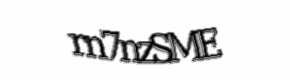 Security check image, please type the characters shown